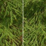 Starfield 4K Texture Packs-2