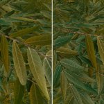 Starfield 4K Texture Packs-3