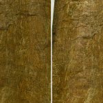 Starfield 4K Texture Packs-6