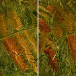 Starfield 4K Texture Packs-7