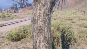 CP2077 modded trees-3