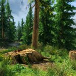 Skyrim with Studio Ghibli graphics-1