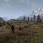The Witcher 3 Grass Overhaul Mod-1