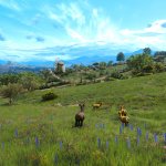 The Witcher 3 Grass Overhaul Mod-2