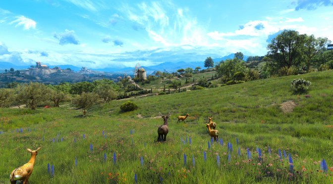 The Witcher 3 Grass Overhaul Mod-2