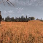 The Witcher 3 Grass Overhaul Mod-3