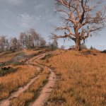 The Witcher 3 Grass Overhaul Mod-4
