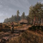The Witcher 3 Grass Overhaul Mod-5