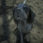 Red Dead Redemption 2 HD Texture Pack-2