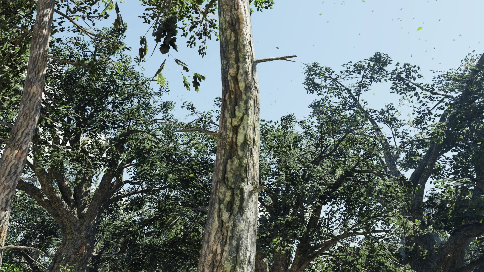 Crimson Desert modded tree bark textures-2