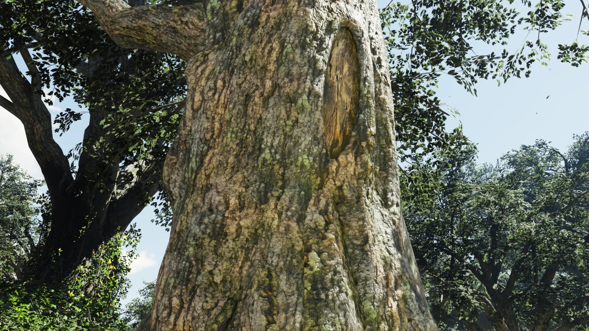Crimson Desert modded tree bark textures-3