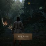 The Blood of Dawnwalker PC screenshots-1
