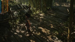 Native TSR