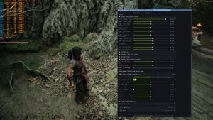 DLSS 5 Settings-2