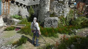 Default Path Tracing DLSS 5-4