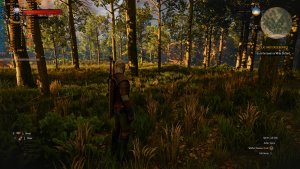 Ray Tracing with DLSS 5-7