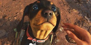 Far Cry 6 dogwheel
