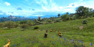 The Witcher 3 Grass Overhaul Mod-2