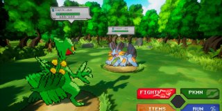 Pokemon Emerald Fan Remake