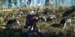 The Witcher 3 wolves